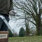 Taille des tilleuls en hiver, outils propres et coupes légères sur tilleul en dormance